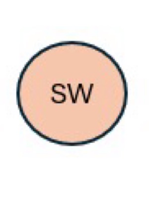 SS